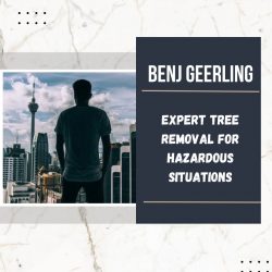 Benj Geerling’s Expert Tree Removal for Hazardous Situations