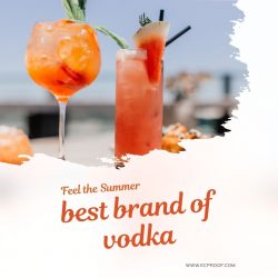 Expert Opinion on the Best Brand Of Vodka | EC Proof