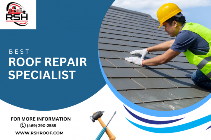 Best Roof Repair Specialist