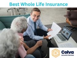 Understand The Best Whole Life Insurance