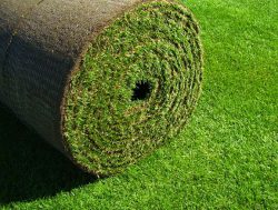 SOUTHLAND SOD FARMS – BEST VARIETIES OF SOD FOR SALE IN USA