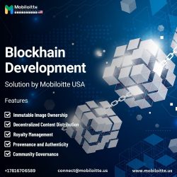 Blockchain Development Solution