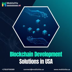 Blockchain Development Solutions in USA