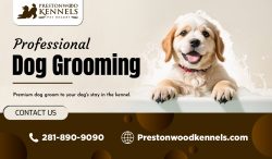 Book Your Pet Grooming Service