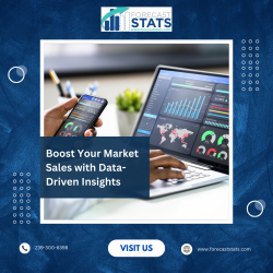 Boost Your Market Sales with Data-Driven Insights | Forecast Stats