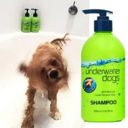 Order the best puppy shampoo and conditioner