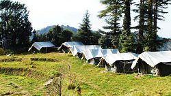 Best Camping in Mukteshwar