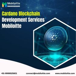 Cardano Blockchain Development Solutions