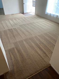 Carpet Cleaning Company WA