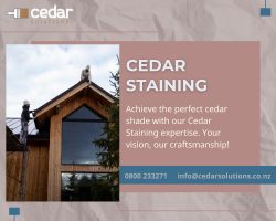 Are you looking for the best Cedar staining in Auckland?