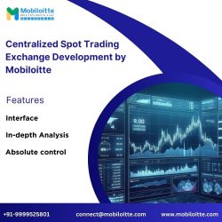 Centralized Spot Trading Exchange Platform Development