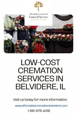 Cheap Cremation Belvidere IL