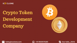 Choose the Right Crypto Token Development Company