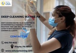 Deep Cleaning Services for Wayne Residents