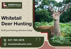 Deer Hunting Trips with Expert Guides