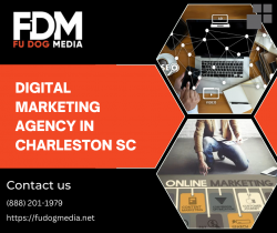 Unleashing the Power of Digital Marketing Agency in Charleston, SC: A Closer Look at Fu Dog Media