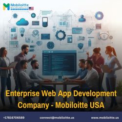 Enterprise Web App Solutions by Mobiloitte USA