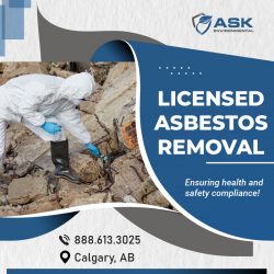 Expert Asbestos Remediation Service