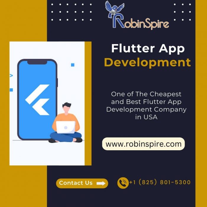 Best Flutter App Development Company in USA