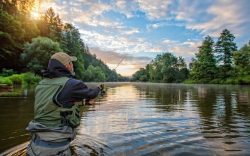 Experience the Tranquility of Dorrigo Trout Fishing: A Paradise for Anglers