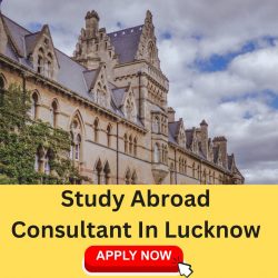 Looking to pursue a Bachelor’s in Abroad?