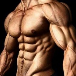 What Are Testosterone Boosters and Do They Really Work?