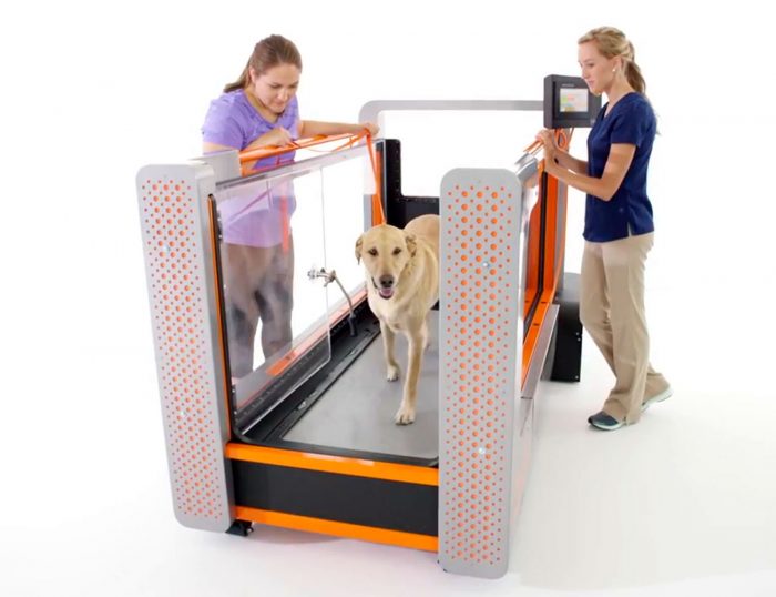 Canine Underwater Treadmills – H2O For Fitness