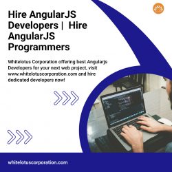 Hire Dedicated Angularjs Developer