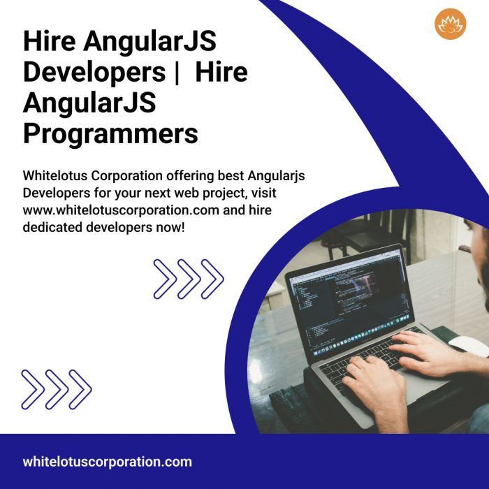 Hire Dedicated Angularjs Developer