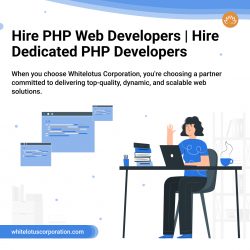 Hire PHP Developers in your budget