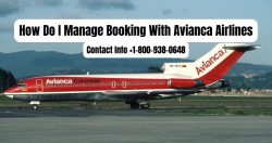 Get Your Next Booking Today With Avianca Airlines