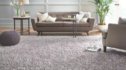 How to Choose the Most Suitable Carpet or Flooring?