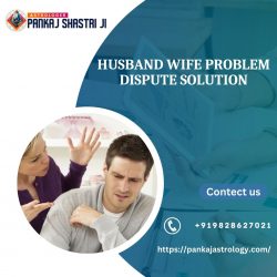 Husband Wife Problem Dispute Solutions by Astrologer Pankaj Shastri Ji.