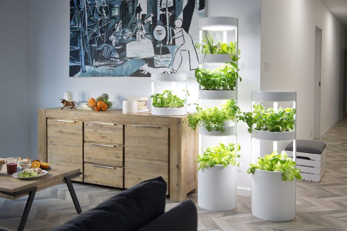 How to Choose the Right Hydroponic Suppliers for Indoor Garden