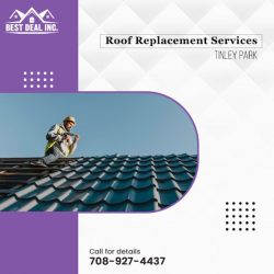 Roof Replacement Services Tinley Park