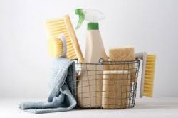 Eco-Friendly Cleaning Services: Promoting Sustainability and a Cleaner Environment