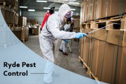 Come To Us For Ryde Pest Control