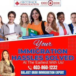 Immigration Consultant Calgary NE – Skytrack Immigration
