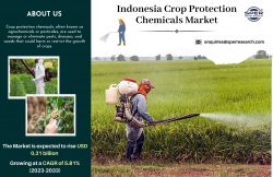 Indonesia Crop Protection Chemicals Market Trends 2023, Industry Share, Upcoming Trends, Revenue ...