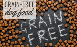 Ultimate Guide To Grain-Free Dog Foods