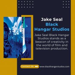 Jake Seal Black Hangar Provide The Best Post-Production Services
