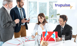 Measuring Organizational Culture – TruPulse