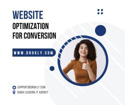 Affordable Seo Services in Dubai | Drokly For Web Design