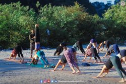 200 Hour Vinyasa Yoga Teacher Training Rishikesh