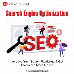 Search Engine Optimization Services in the USA