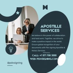 Notary & Apostille Services