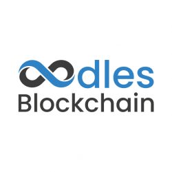 Best Blockchain Development Company in USA