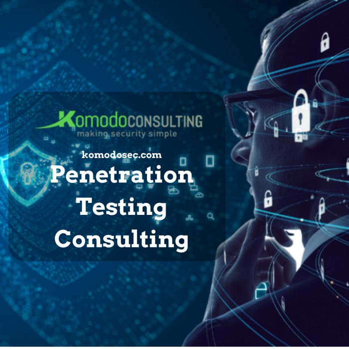 Penetration Testing Consulting