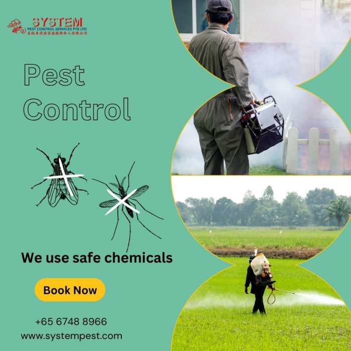 System Pest: Singapore’s Best Pest Control Services