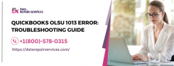 QuickBooks OLSU 1013 Error: How to Resolve